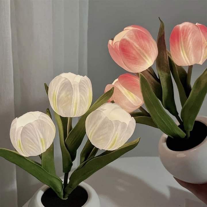 Tulip Lamps! Filler